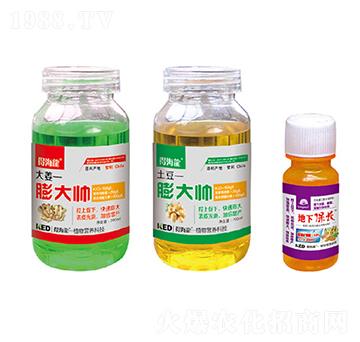 ���-�ú���-������