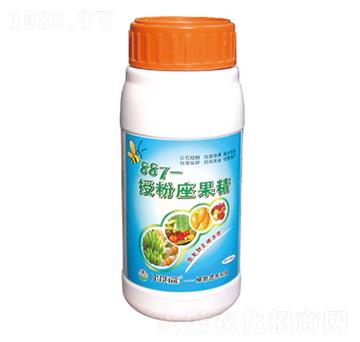 887-�ڷ�������-������