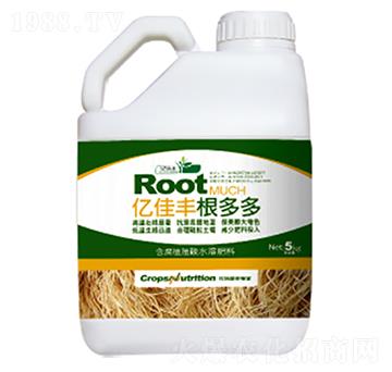 �����-�|���S