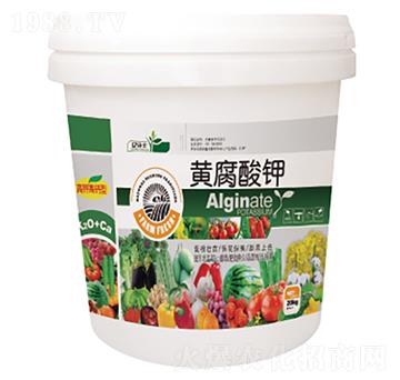 �S�����-�|���S