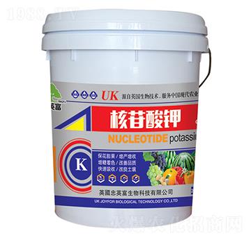 20kg�������-�|��