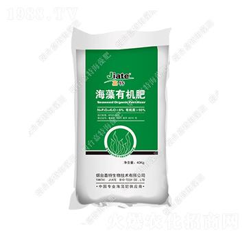 �����ЙC(j��)��-��������