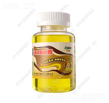 �����Ǵ���-��������