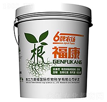 ������-������