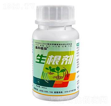 250ml������-�ο�ֲ��