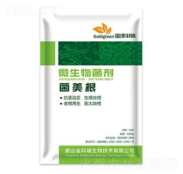 ΢�������-������-�����