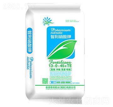 �������������13-0-45+TE-�����ʘI(y��)