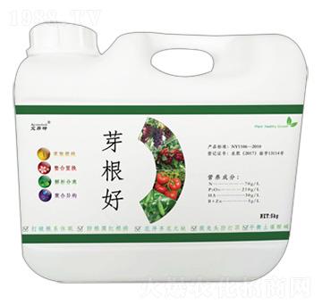 ѿ����-������