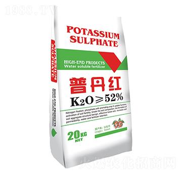 �����-�յ��t-�r��