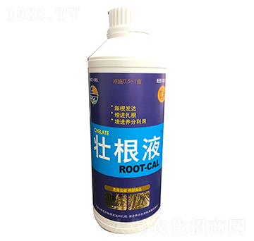 �������ͺϷ�ROOT-CAL-�ܸ���