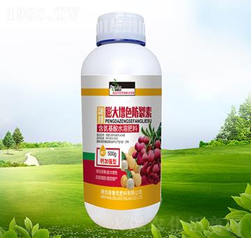 �����ɫ������-������