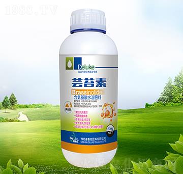 �|̦��-������