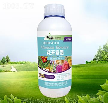 ���_���F-������