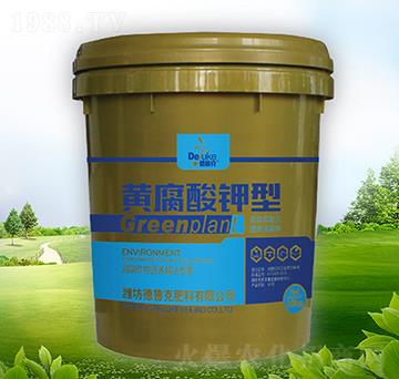 �S�������-������