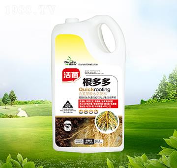 ��������-������