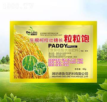 �����������L�����-������