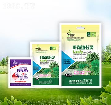 �~�����L(zh��ng)�`+�T��(d��o)��-������