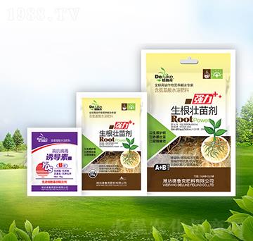 �������焩+�T��(d��o)��-������