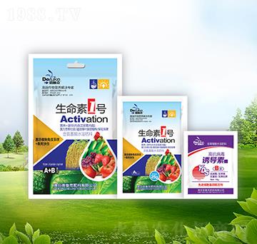 ������1̖+�T����-������