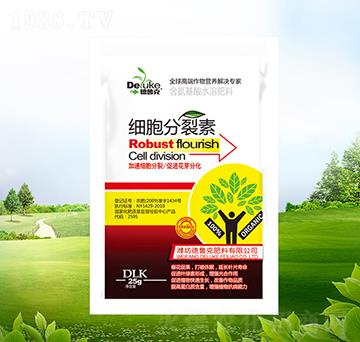 ����������-������