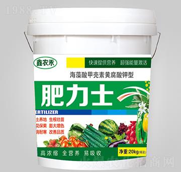 ������ך����S�������-����ʿ-��ٝ