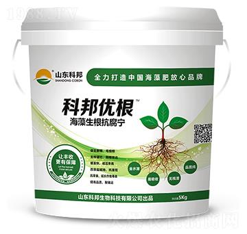 ��������������-�ư(y��u)��-�ư�����