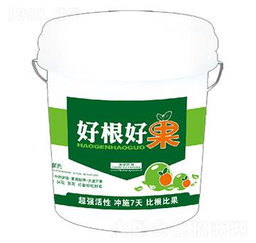 �ø��ù�-�º���