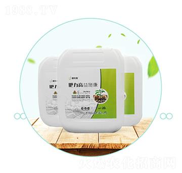 �����ߡ���ʩ��-��������