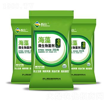海藻微生物菌劑-看點(diǎn)