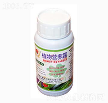 ֲ��I(y��ng)�B(y��ng)¶-�r(n��ng)������