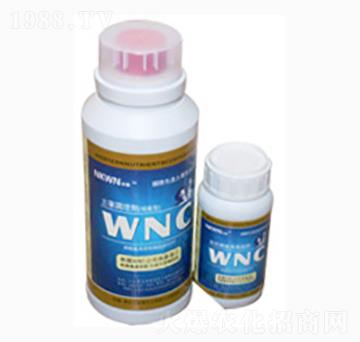 ֲ��I(y��ng)�B(y��ng)¶��ƿ��-�r(n��ng)������