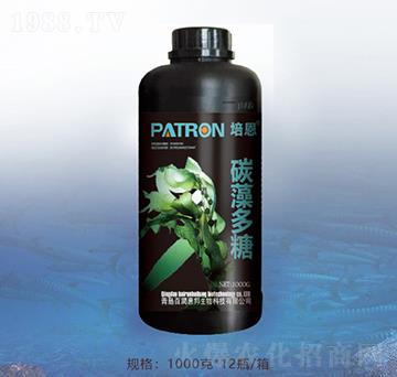 ̼�����-�ٝ��ݰ�