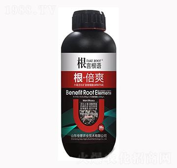 ����ˬ-���Ը��Z(y��)-�����r(n��ng)�I(y��)