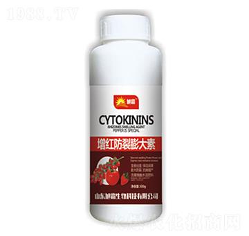 ���t���������-�������