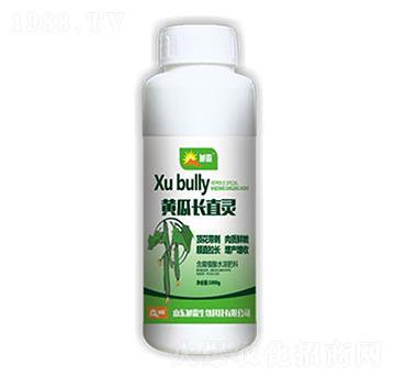 �S���Lֱ�`-�������