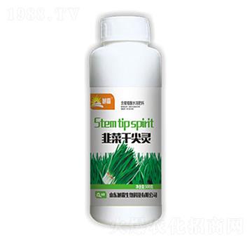 �²˸ɼ��`-�������