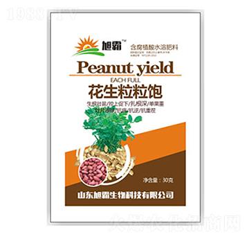 ���������-�������