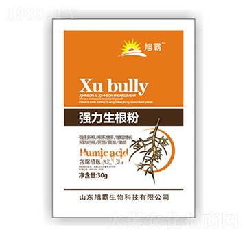 ��(qi��ng)��������-�������