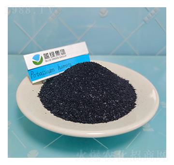 ��ֳ���-��(��i)��˹����