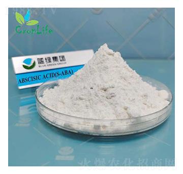 Ó����-��(��i)��˹����