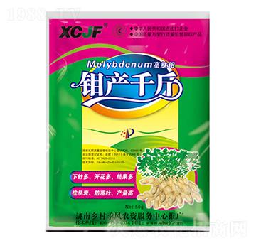 鉬產(chǎn)千斤-鄉(xiāng)村季風