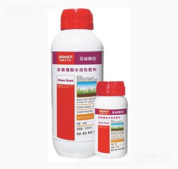 ����ֲ��ˮ�ܷ���-�����nɫ-¡��?du��)? />
                                </div>
                            </div>
                            
                            <style type=