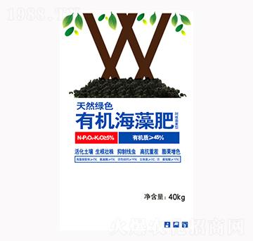 �ЙC(j��)�����-��M�}