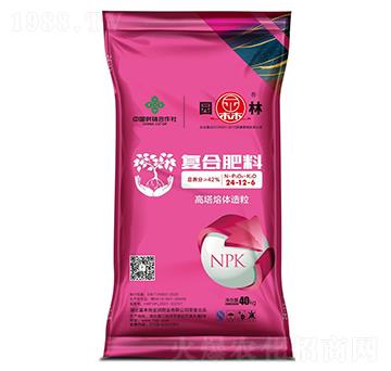 ��(f��)�Ϸ���24-12-6-�@��-������