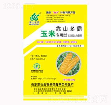 ���׌����Ͷ๦��������