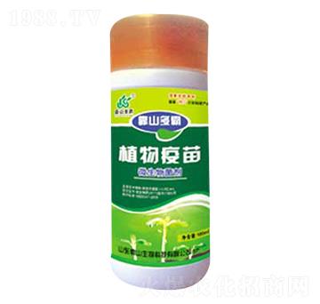 ΢�������-ֲ������-��ɽ����