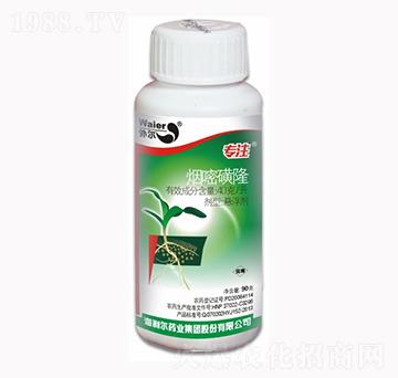 ���׻�¡-��(zhu��n)ע-������