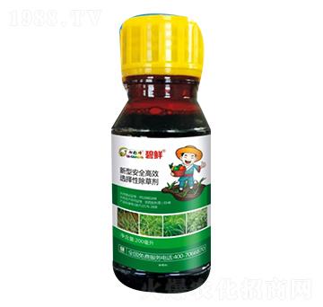 ���r��ѿ����]���݄���-������r