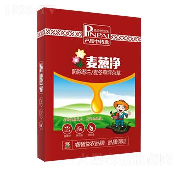 ���[��-������r