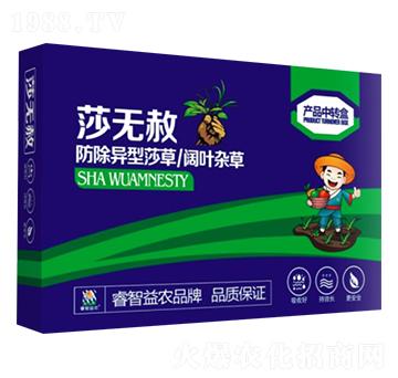 ɯ�o��-������r